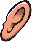 ear