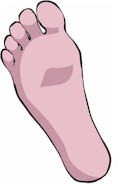 foot