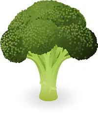 broccoli